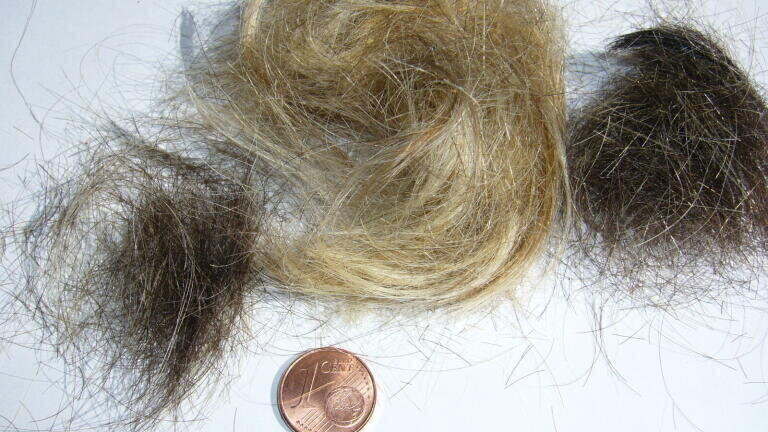 Drug testing via hair analysis