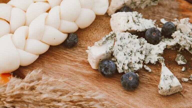 Meet the Ant That Smells Like Blue Cheese!