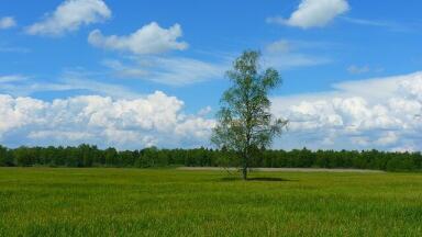 Should You Go outside for Fresh Air? Chromatography Investigates