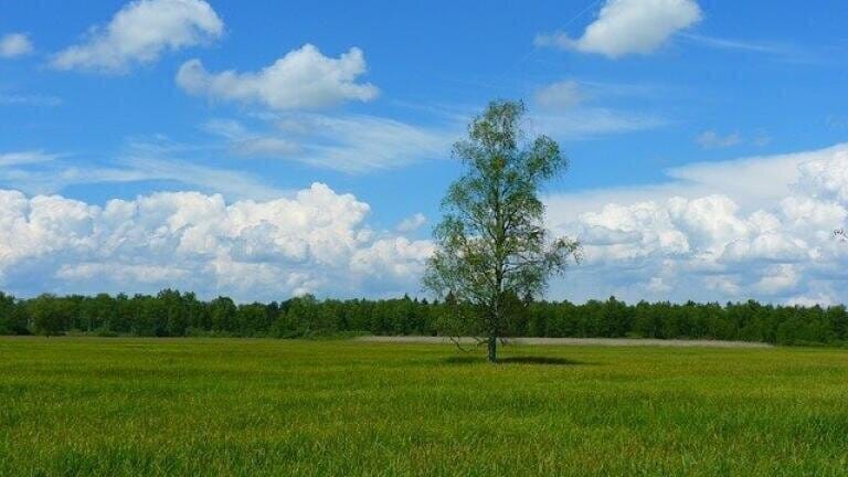 Should You Go outside for Fresh Air? Chromatography Investigates