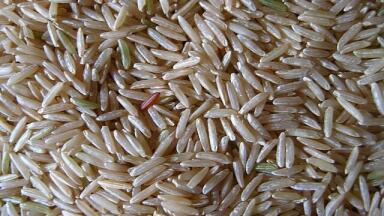 Fake Rice? Chromatography Searches for a Grain of Truth