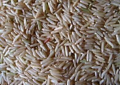 Fake Rice? Chromatography Searches for a Grain of Truth
