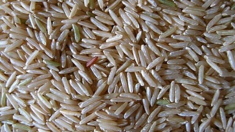 Fake Rice? Chromatography Searches for a Grain of Truth