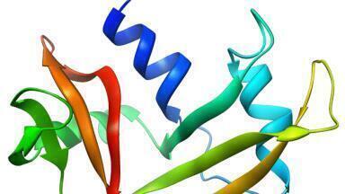 History of Chromatography - Stein and Moore