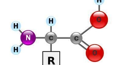 A New Chromatography Platform to Search for Life