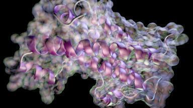 ‘Unsurpassed protein SEC’: OMNISEC delivers accurate information with minimal sample