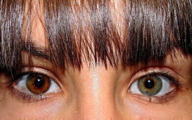 Predicting Eye and Skin Colour
