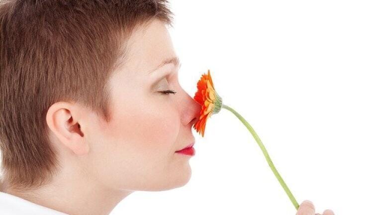 How to Capture Smells Instead of Pictures