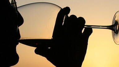Wine Tasting Notes — Best Sipped with Bacteria