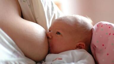Cleaning up the Environment Does Work — Toxic Breast Milk in California