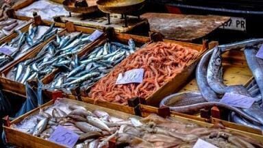 Is That Cod Fresh? Chromatography Can Tell You