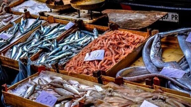 Is That Cod Fresh? Chromatography Can Tell You