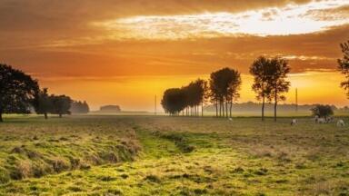 Methane to Methanol — Nature Holds the Key