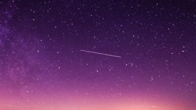 If There Is No Life on Mars — Blame the Meteorites. Chromatography Investigates
