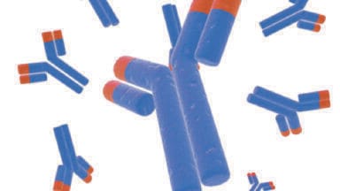Challenges during mAb purification