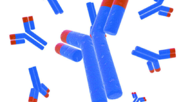 Challenges during mAb purification