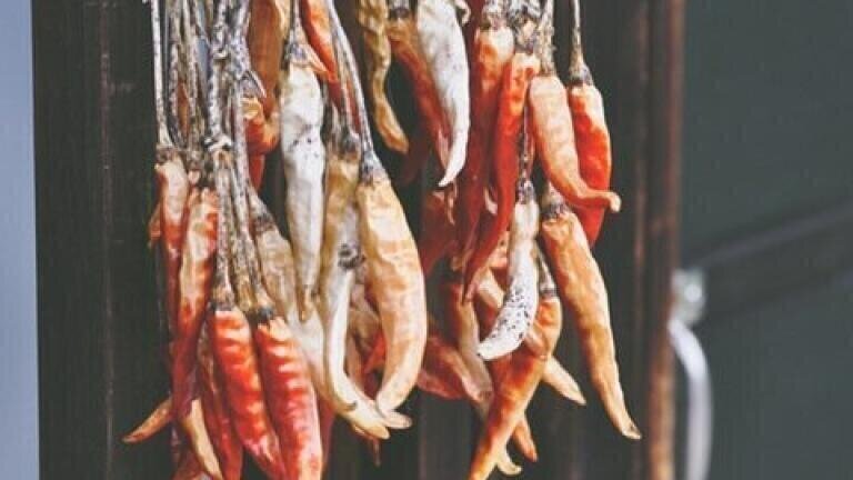 Can Chromatography Help Chili Peppers Overcome Salmonella?