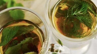 What are the Benefits of Green Tea? Chromatography Investigates