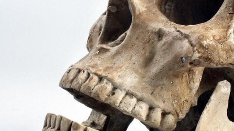 What's on the Menu? Chromatography Unearths Ancient Food Favourites