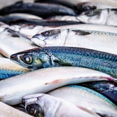Why Do Fish Smell So 'Fishy'?