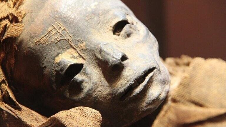 Gas Chromatography Reveals the Owner of Ancient Mummified Legs