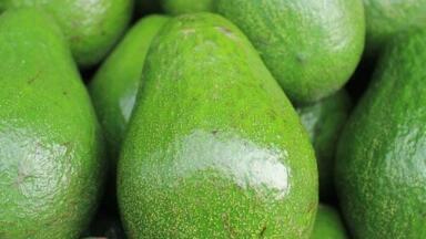 How is Chromatography Controlling Spanish Pesticides?