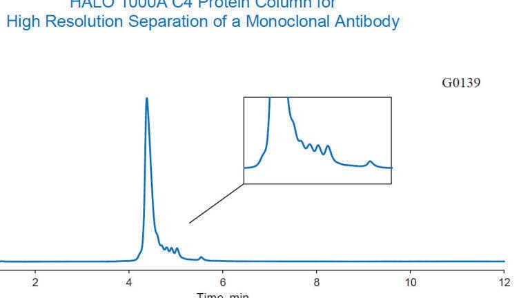 Trastuzumab High Resolution Separation with new HALO 1000Å C4 columns