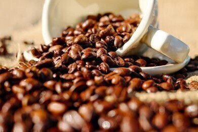 How Will Climate Change Affect Coffee?