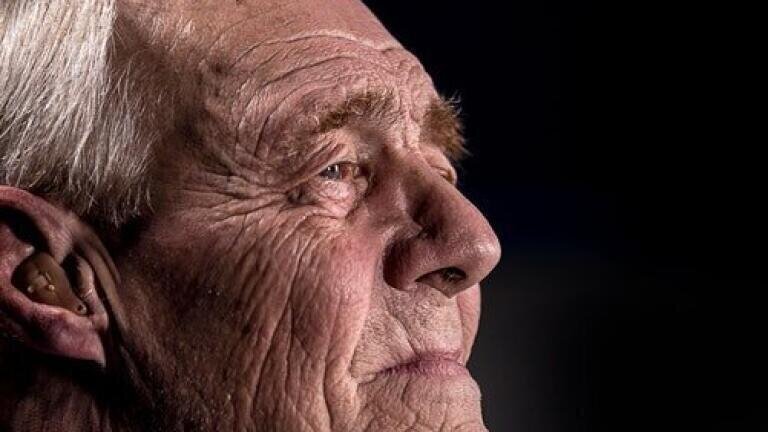 Can Chromatography Unlock Plants' Anti-Alzheimer’s Compounds?