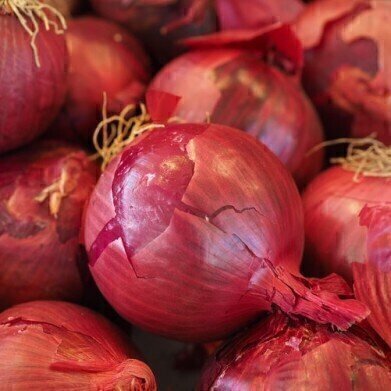 Chromatography Finds Organic Onions Might Be Healthier