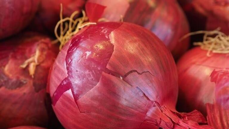 Chromatography Finds Organic Onions Might Be Healthier