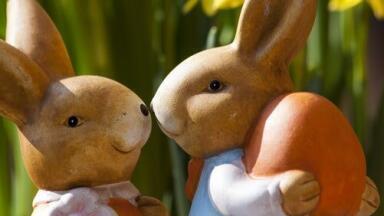 Chromatography Finds Viagra in Dietary Supplements