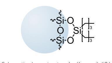 Separation and purification of samples using the new Kromasil 300 Å diC4