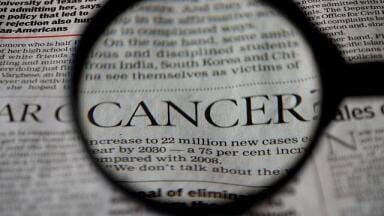 Gut Bacteria and Anticancer Therapy — Chromatography Studies the Link