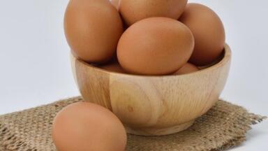 Can Fortified Eggs Prevent Blindness? — Chromatography Explores
