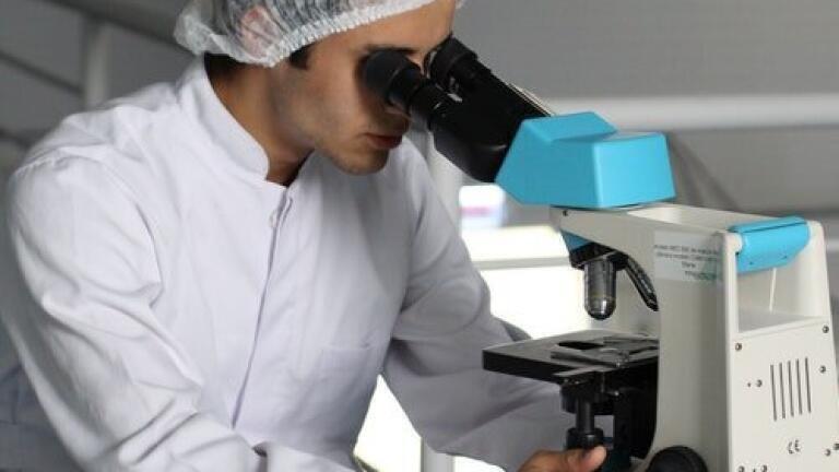 Do Fat Cells Hinder Chemotherapy? — Chromatography Investigates