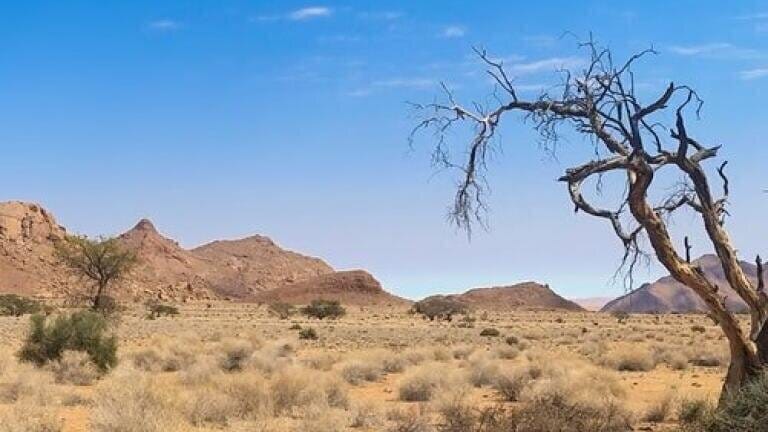 What's Growing on Barren Land? — Chromatography Digs Deeper