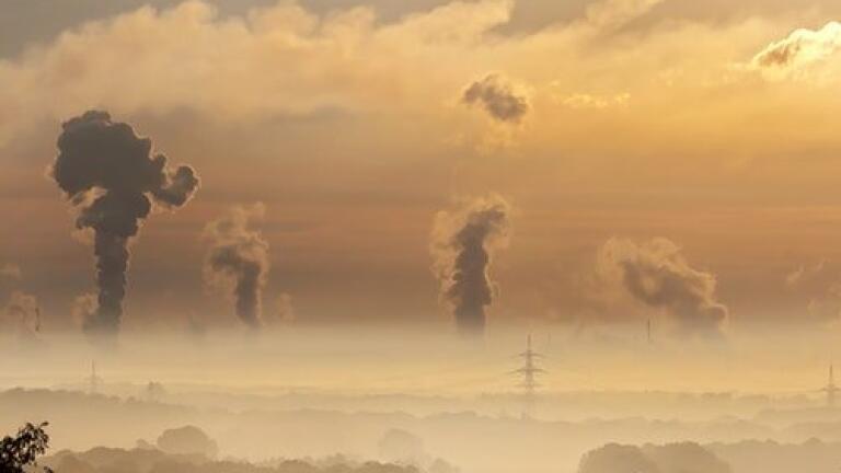 How Does Chromatography Help Monitor the Environment?