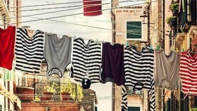 Are Fragranced Washing Products Harmful? — Chromatography Investigates