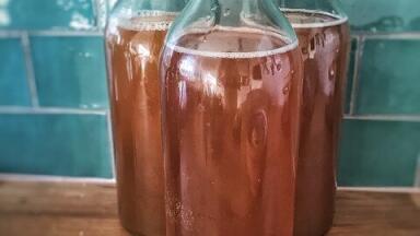 What's in Kombucha? — Chromatography Tests the Tipple