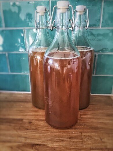 What's in Kombucha? — Chromatography Tests the Tipple