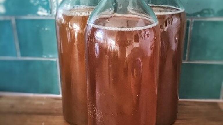 What's in Kombucha? — Chromatography Tests the Tipple