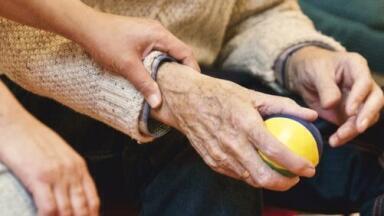 Wasp Venom and Parkinson's Disease — Chromatography Identifies the Link