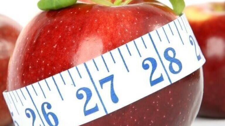 Does Gut Microbiome Composition Affect Obesity? — Chromatography Investigates