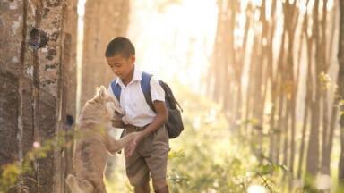 Keeping Ticks at Bay — Turmeric Oil Can Help