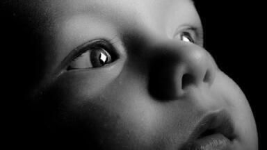 Why Do New-Born Babies Need Vitamin E? — Chromatography Investigates