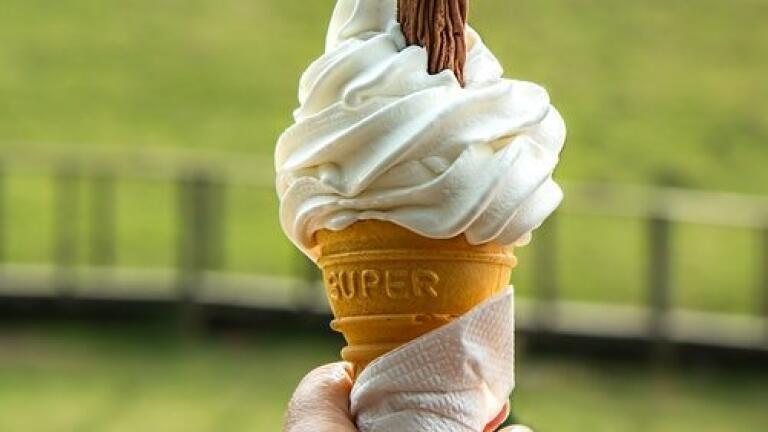 The Real Price of Vanilla Ice Cream – Can Chromatography Help the Farmers