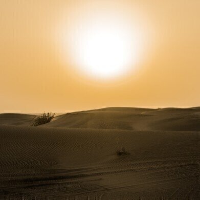 Chromatography Discovers Vitamin D Deficiency in Sun-Soaked Kuwait