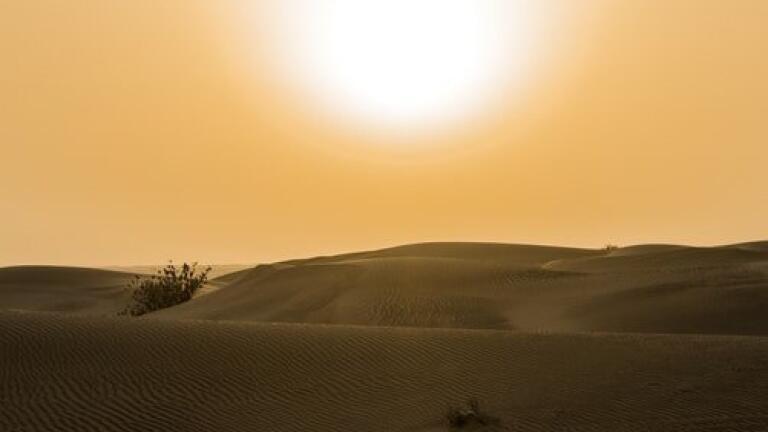 Chromatography Discovers Vitamin D Deficiency in Sun-Soaked Kuwait