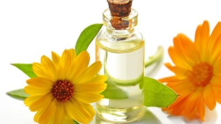 Can Essential Oils Combat Burkholderia Cepacia Complex?